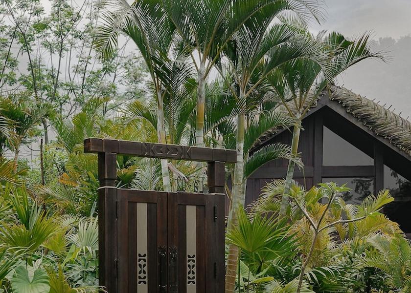 Phu Tho Province Luong Son View from property