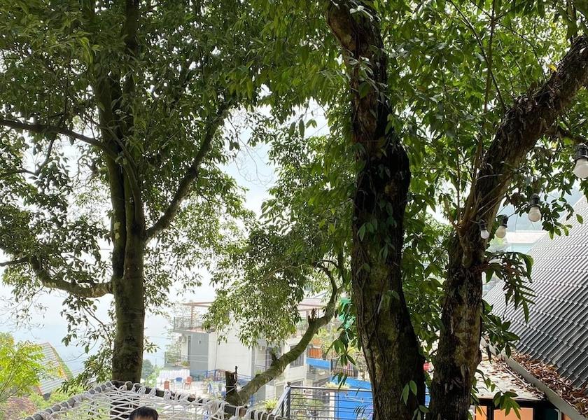 Vinh Phuc Tam Dao Terrace
