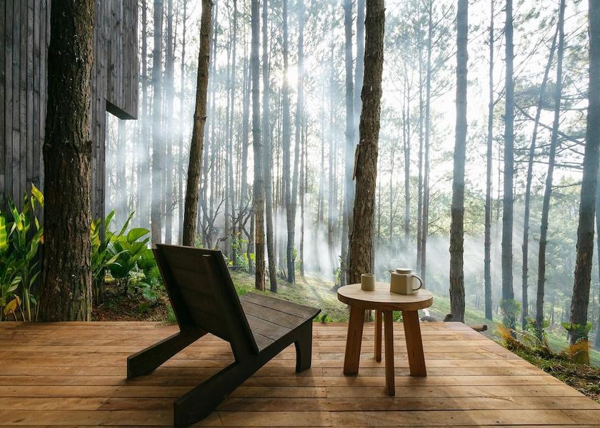 Lam Dong Da Lat Terrace