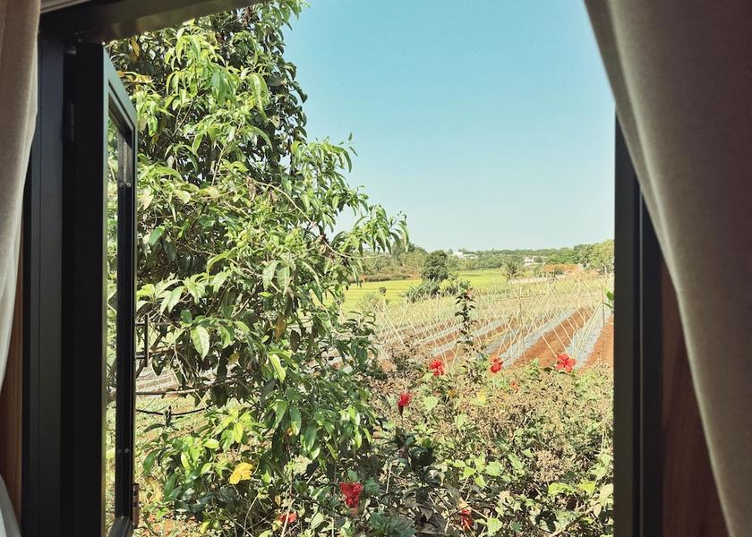 Gia Lai Province Pleiku Room