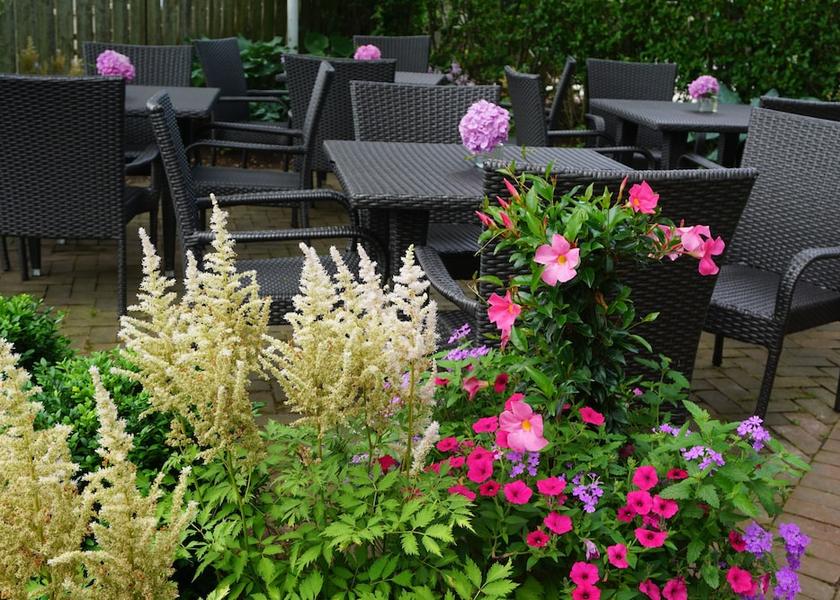 Massachusetts Nantucket Garden