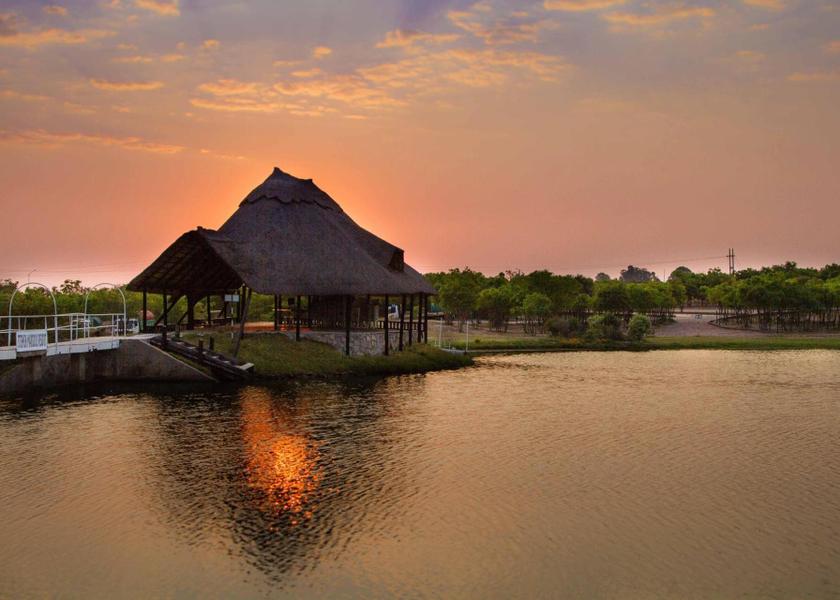 surrounding environment