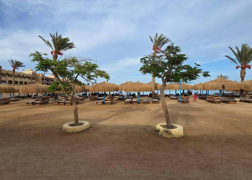 Red Sea Governorate Hurghada 