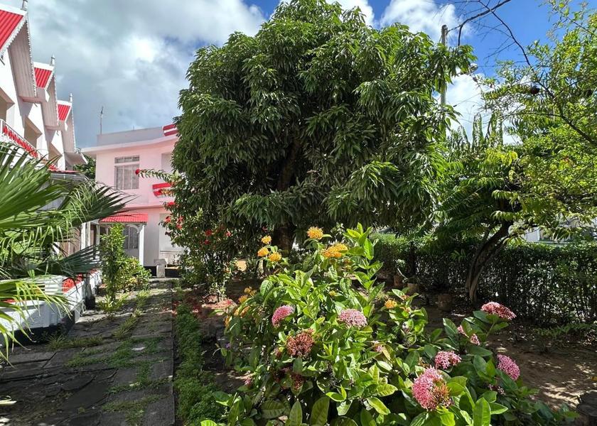  Rodrigues Island garden