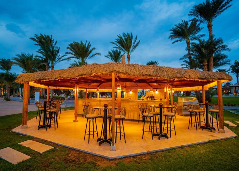 South Sinai Governate Dahab bar/lounge