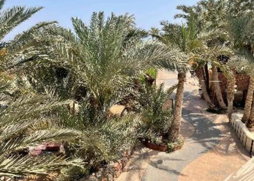 South Sinai Governate Dahab 