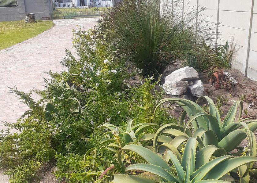 Western Cape Hermanus garden