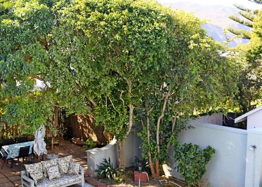 Western Cape Hermanus view