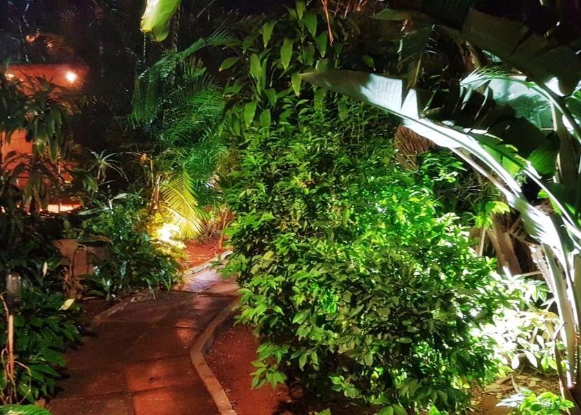 KwaZulu-Natal aManzimtoti garden