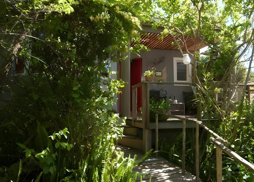 Western Cape Knysna garden