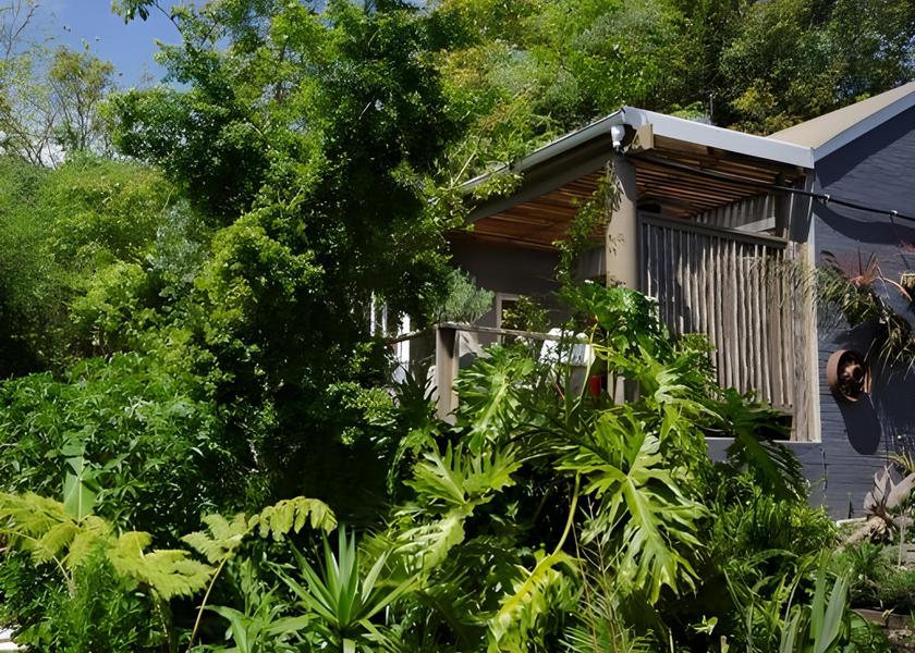 Western Cape Knysna exterior view