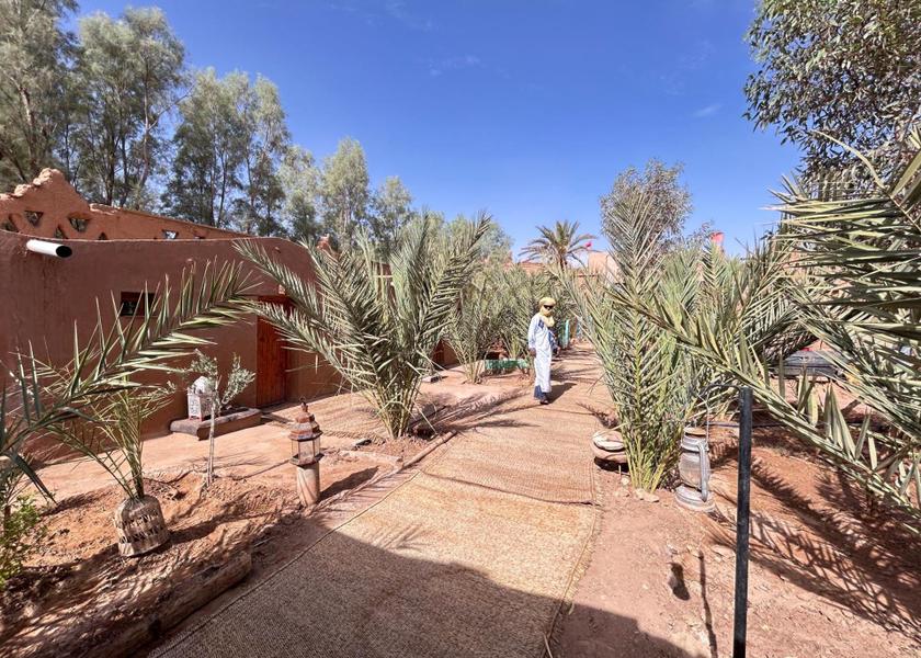 Drâa-Tafilalet M'Hamid El Ghizlane Garden