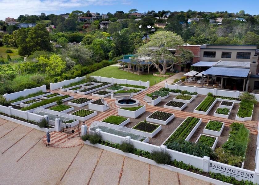 Western Cape Plettenberg Bay garden