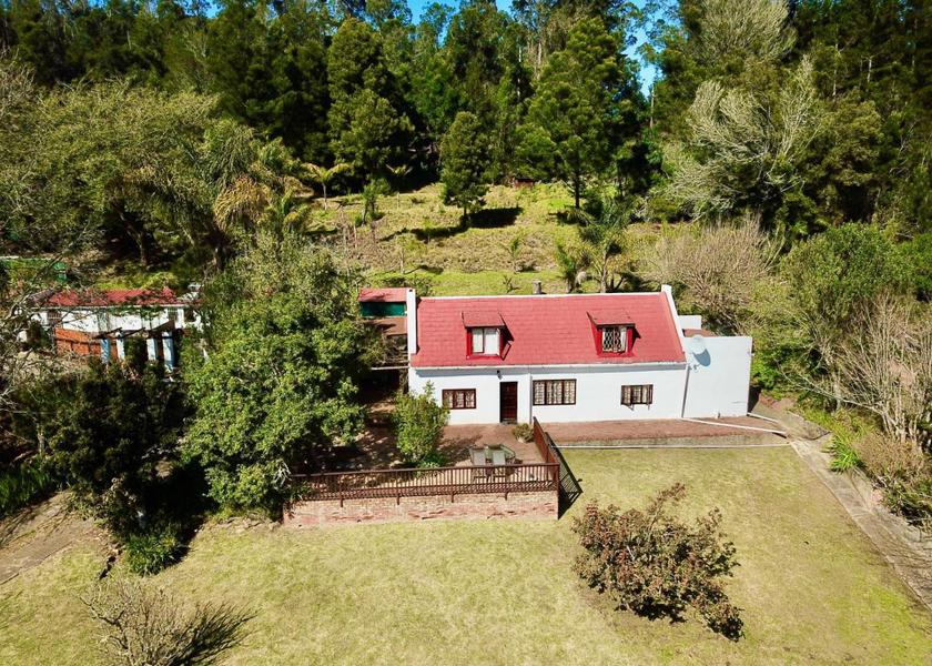 Western Cape Harkerville garden
