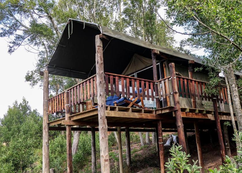 Western Cape Knysna entrance