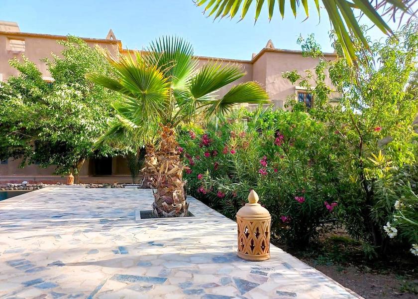 Drâa-Tafilalet Skoura garden