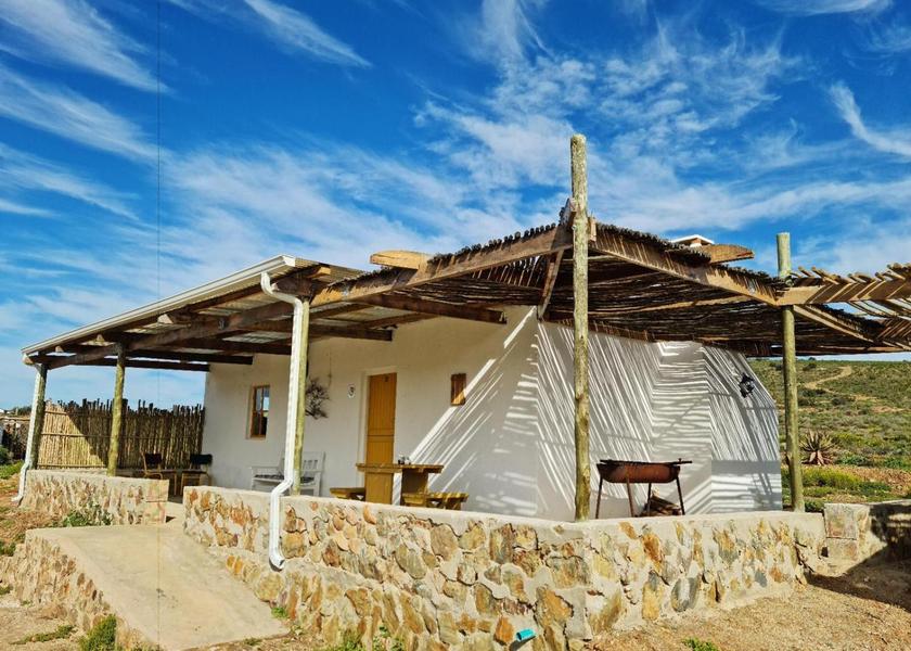 Western Cape Ruiterbos view