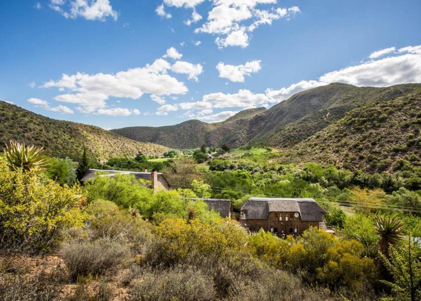 surrounding environment