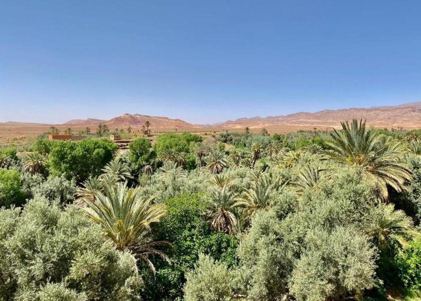 Drâa-Tafilalet Tinghir 