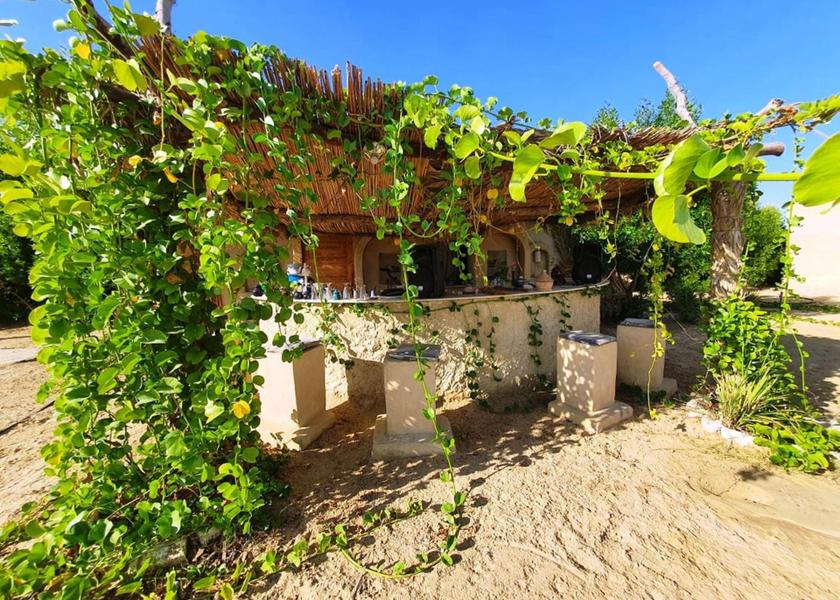 Matrouh Governorate Siwa bar/lounge