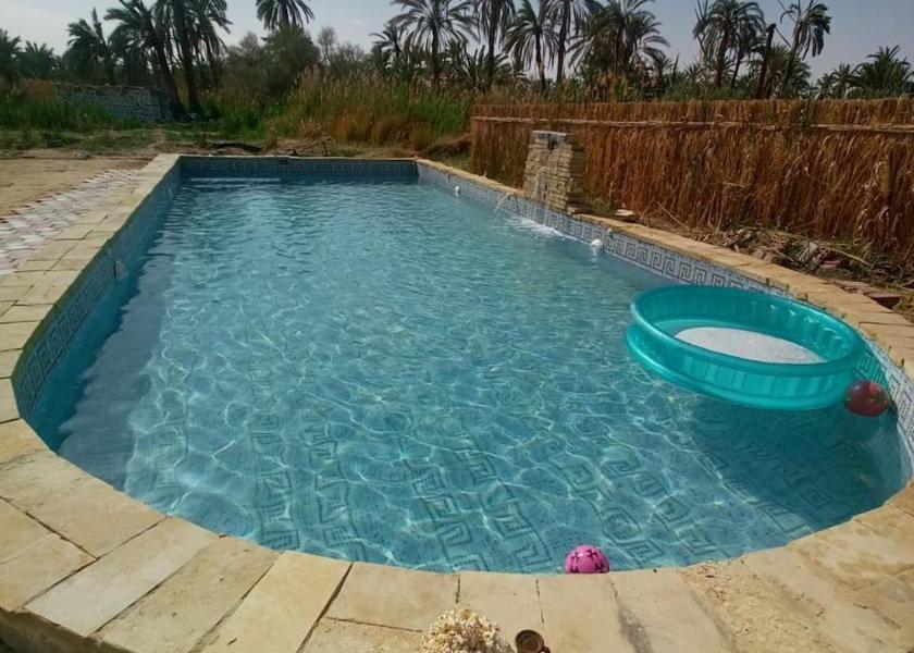  Siwa surrounding environment