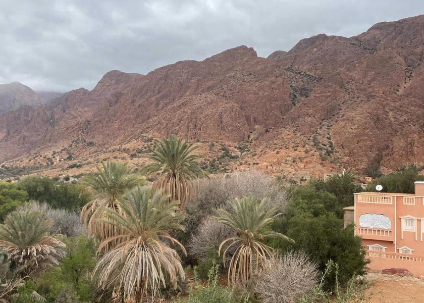 Souss-Massa Ammelne 