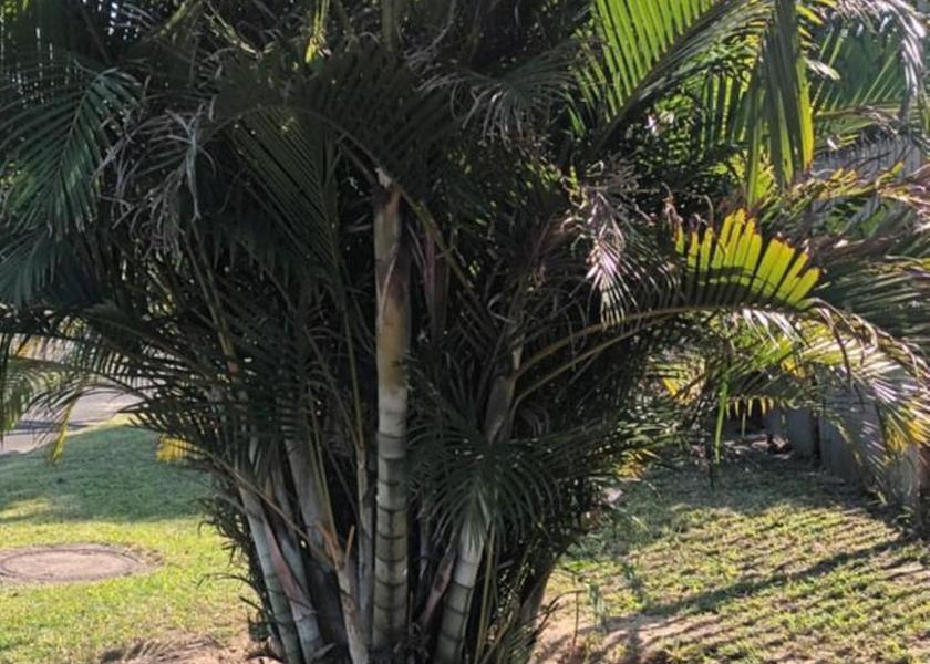 KwaZulu-Natal Richards Bay 