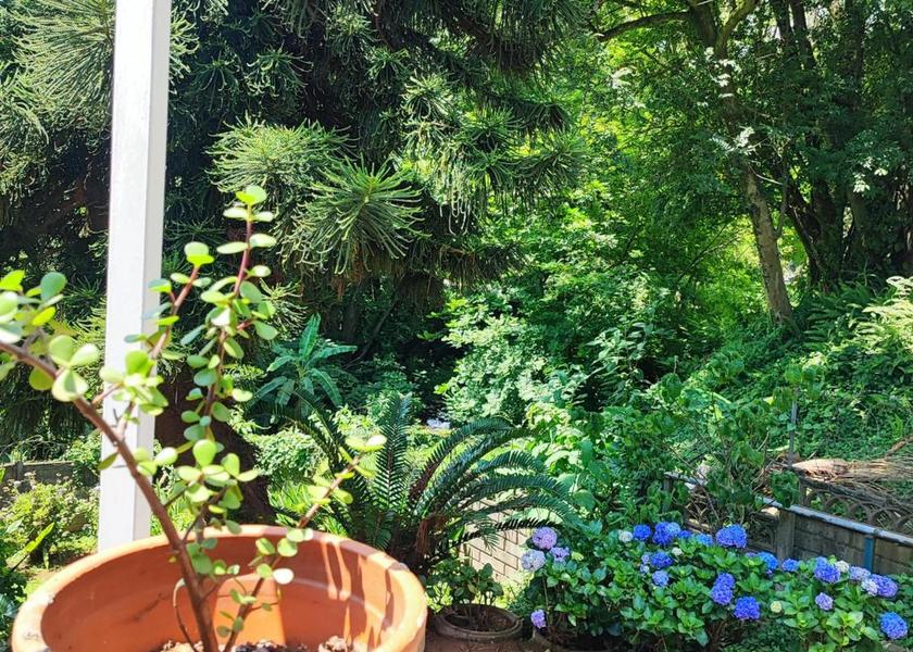 KwaZulu-Natal Pietermaritzburg garden