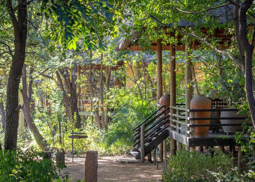 Limpopo Phalaborwa garden