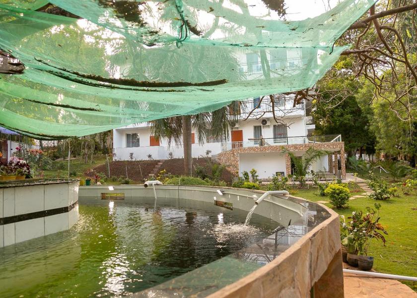  Dar es Salaam garden