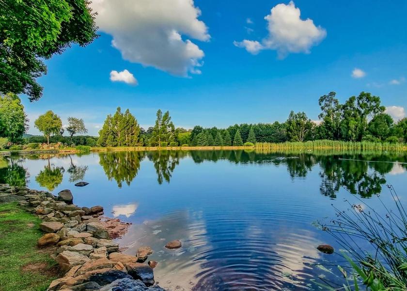 Mpumalanga Dullstroom garden
