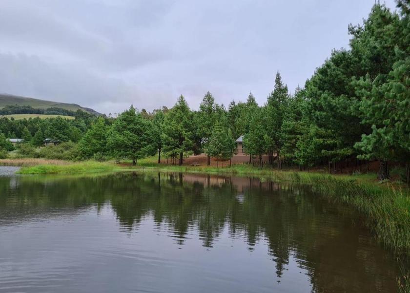 Mpumalanga Dullstroom view