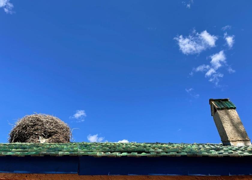 surrounding environment