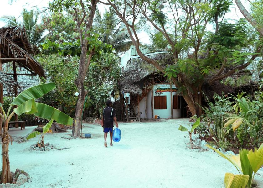 Unguja Kusini Region Michamvi garden