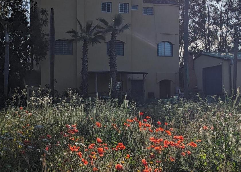 Casablanca-Settat Sidi Ali Ben Hamdouche 
