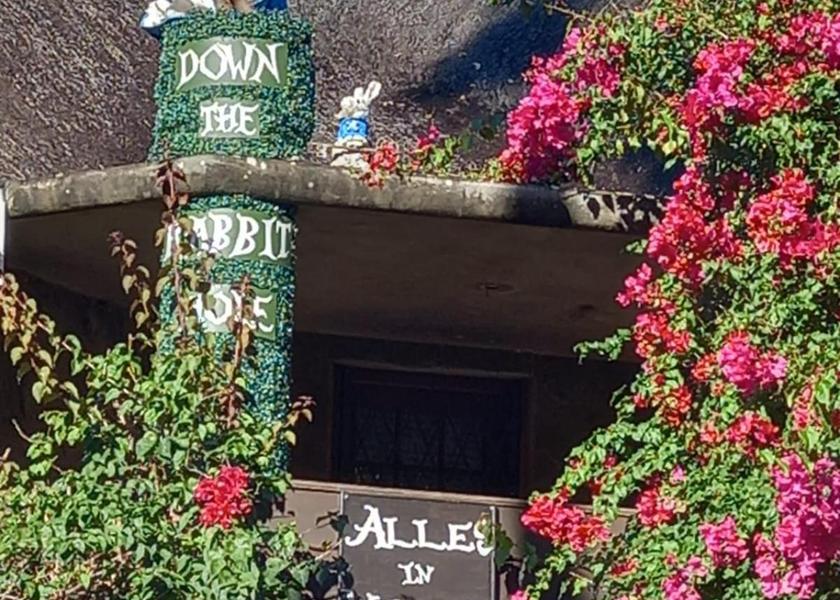 Western Cape Swellendam garden