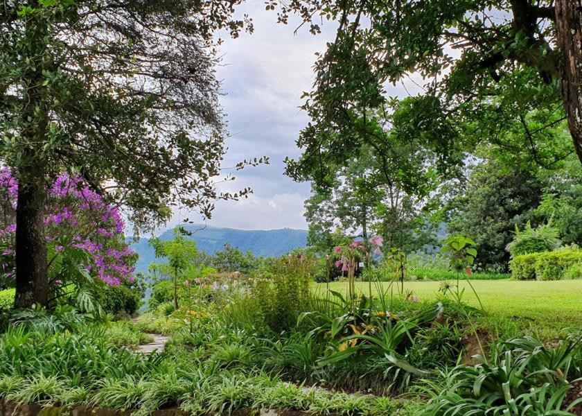 Limpopo Tzaneen garden