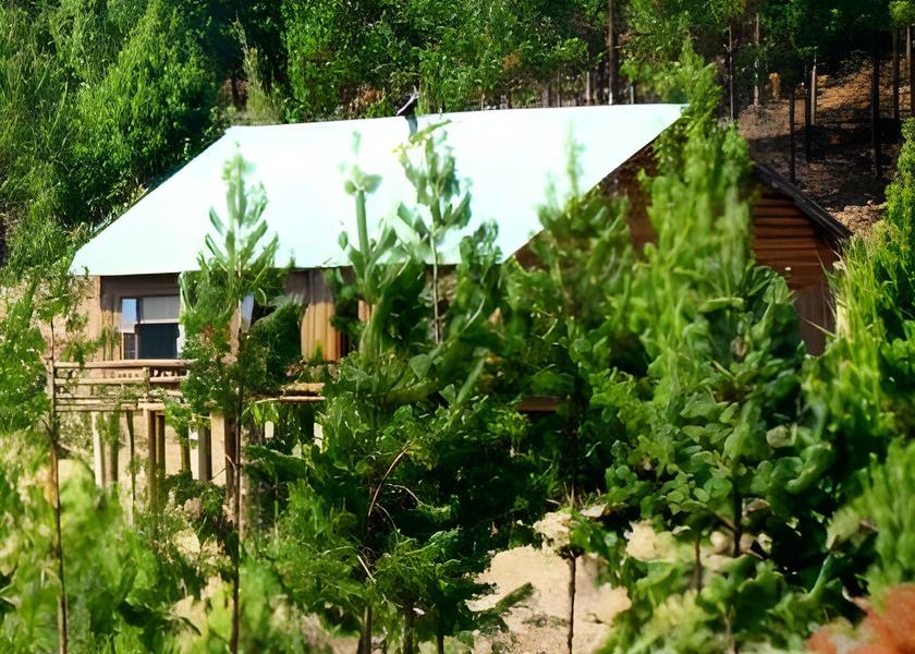 Limpopo Tzaneen exterior view