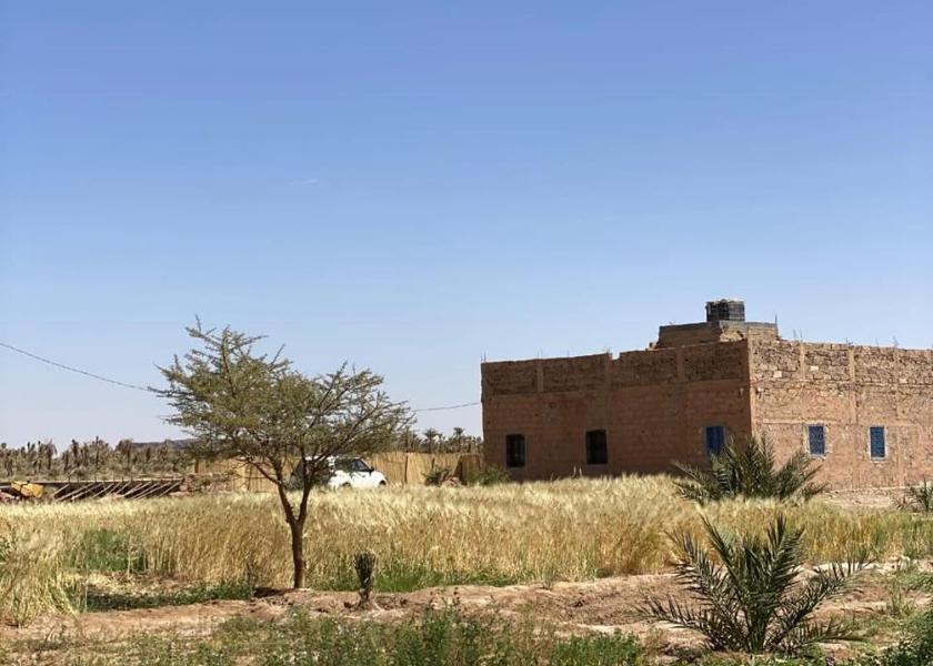 Drâa-Tafilalet Tagounite garden