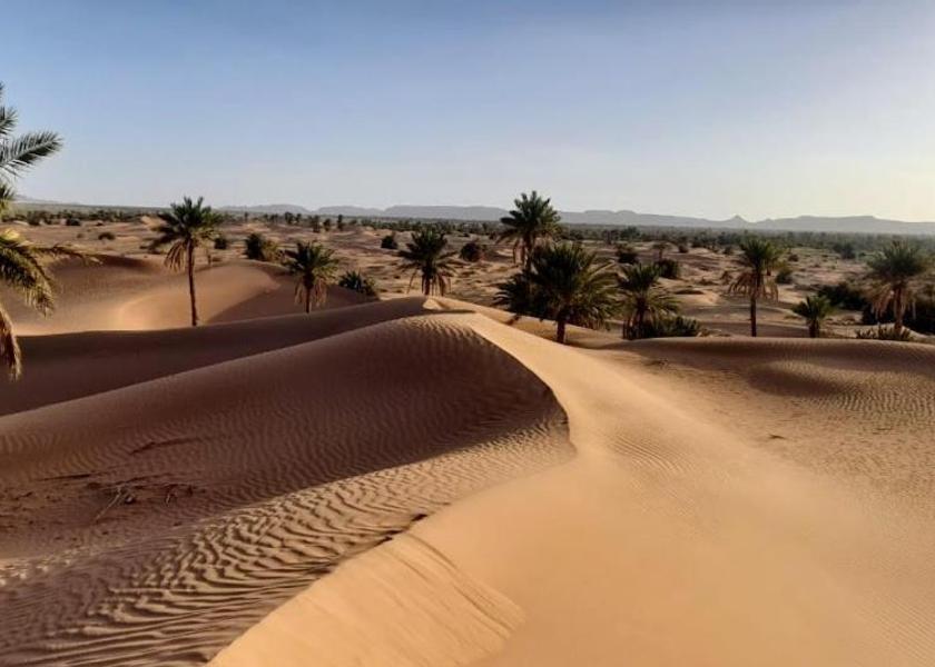 Drâa-Tafilalet Tagounite sports and activities