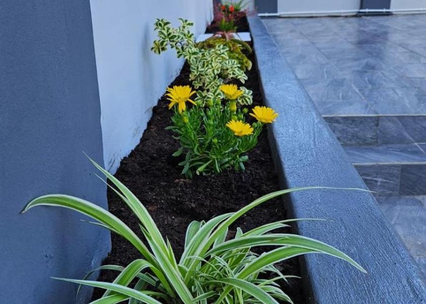 KwaZulu-Natal Ballito garden