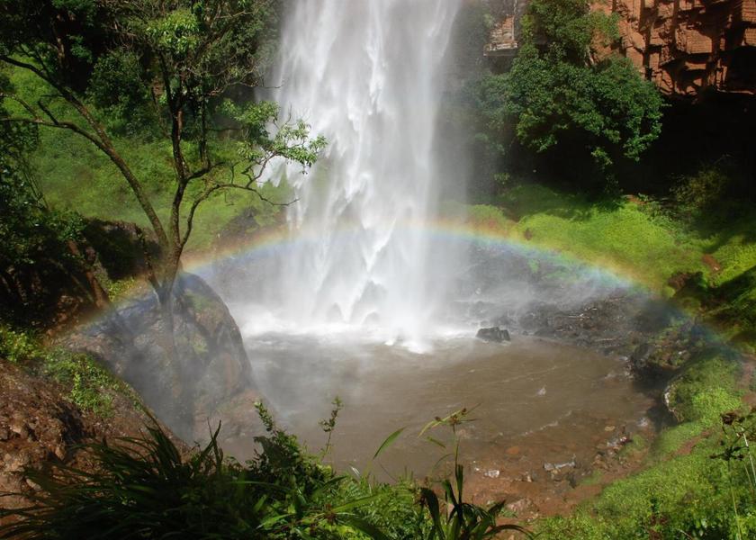 Mpumalanga Sabie surrounding environment