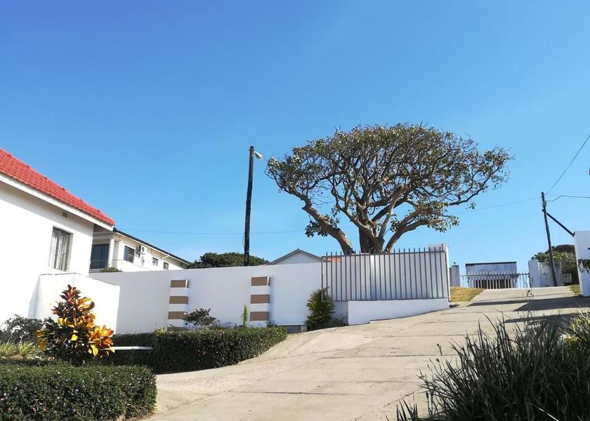 KwaZulu-Natal Port Shepstone garden