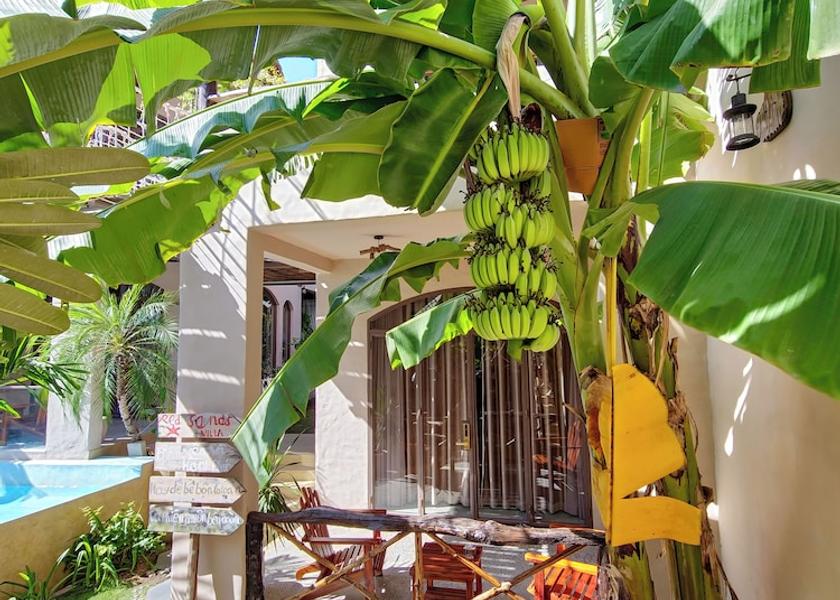 Lam Dong Province Phan Thiet Exterior