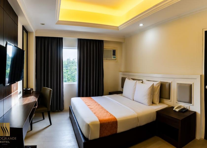 Western Visayas Pavia Room