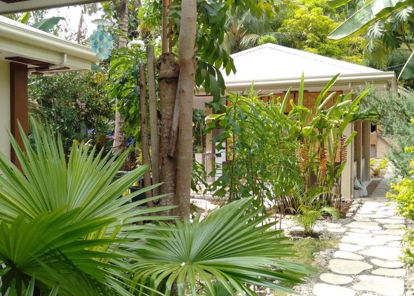 Central Visayas Badian garden