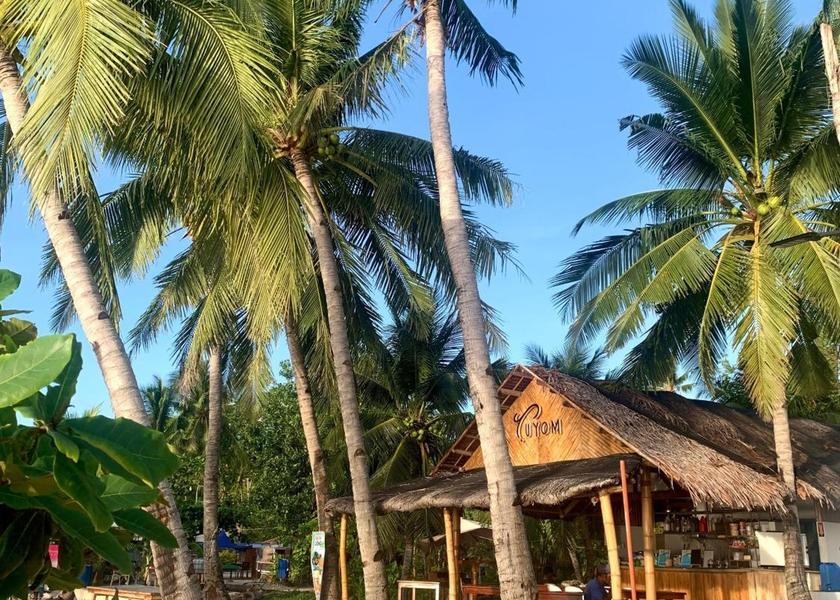 Central Visayas Badian beach