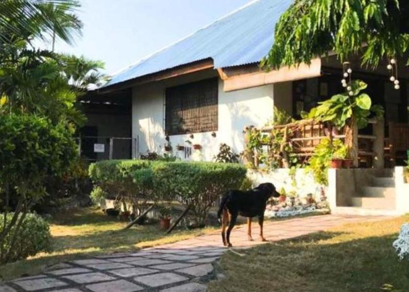 Central Visayas Moalboal 
