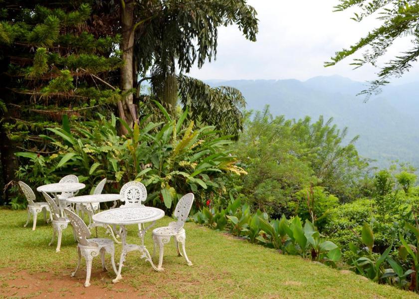 Nuwara Eliya District Nuwara Eliya Outdoors