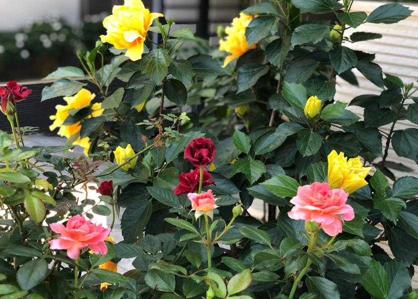  Haiphong shared lounge/tv area